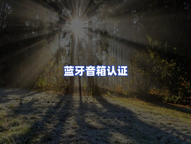 服务优势
